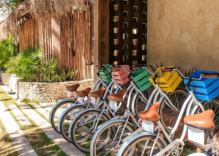 Eco-chic Design Wrapped In Nature's Elements By Stella Appartement Tulum